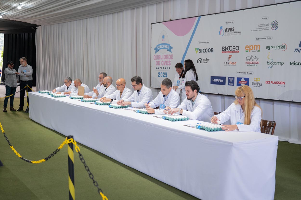 Avicultura capixaba celebra qualidade em encontro estratégico e concurso de ovos