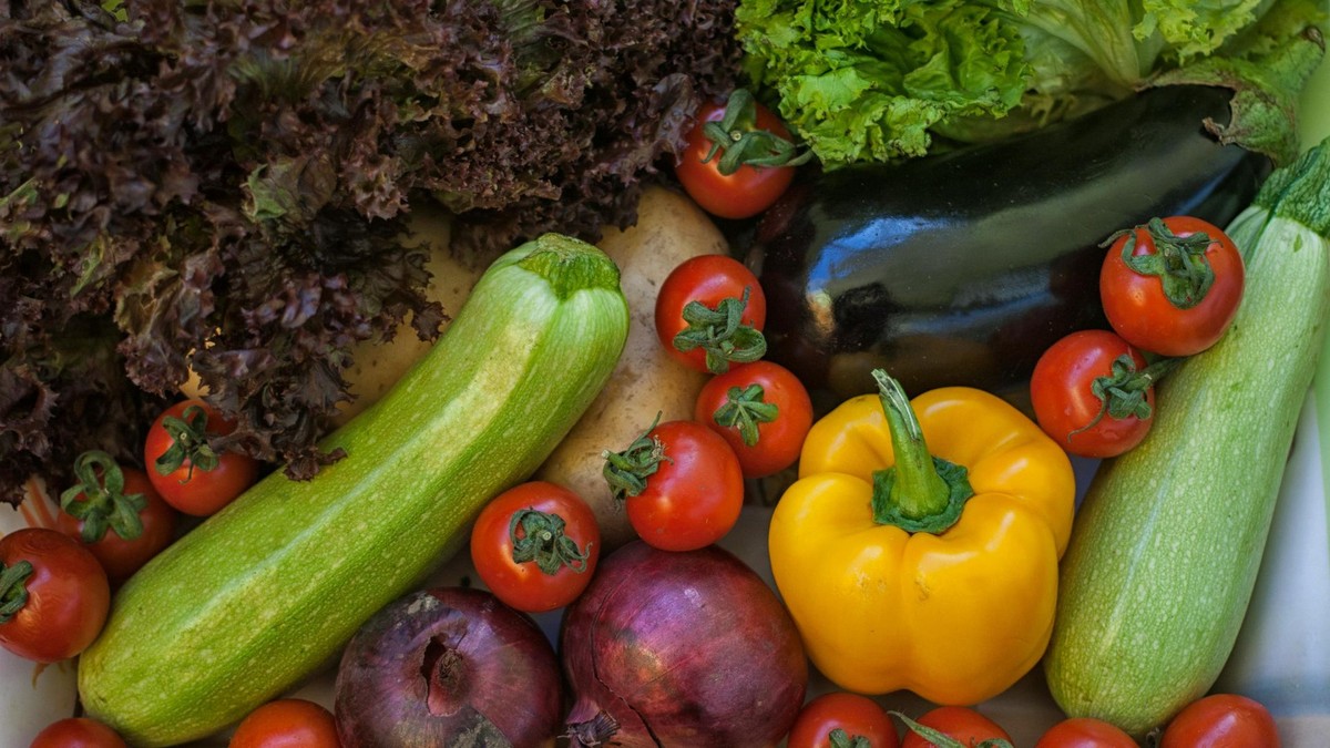 Outubro: o que plantar na horta com a chegada da primavera