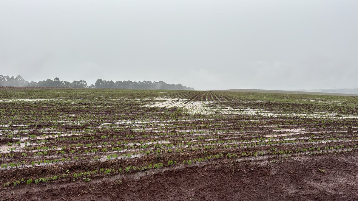 Chuvas atrasam plantio de soja no Rio Grande do Sul e geram cautela nos produtores