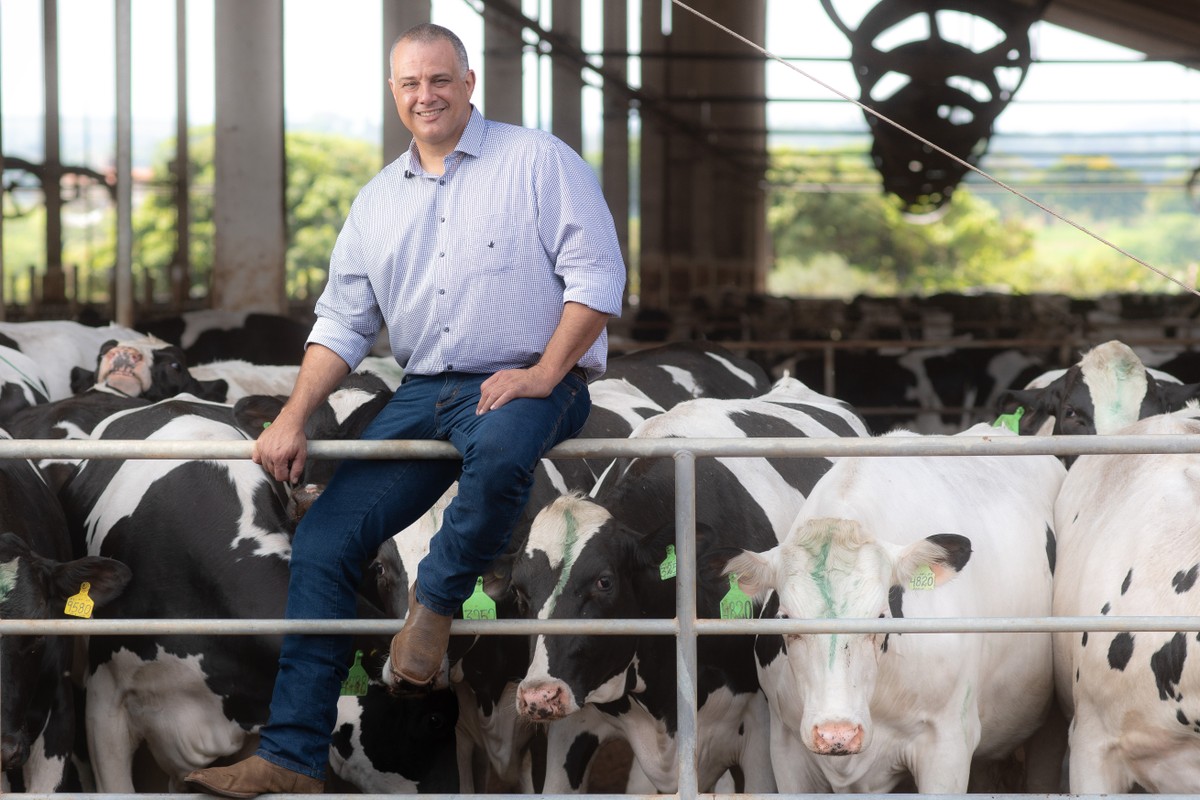 Gigante do leite: Fazenda Bela Vista inova com bem-estar animal e genética para liderar produção nacional