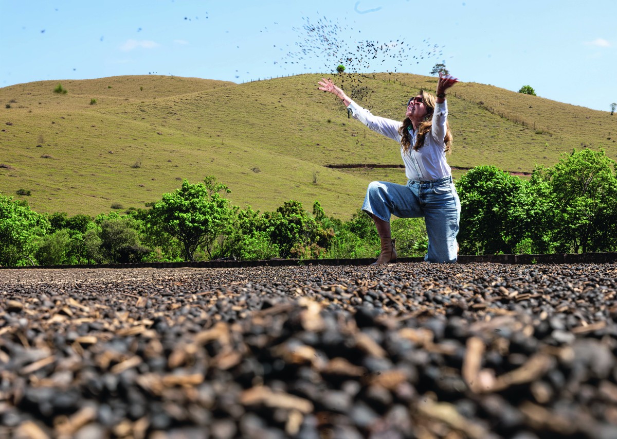 Da metrópole ao campo: a produtora que trocou os saltos pela botina para revolucionar o café mineiro