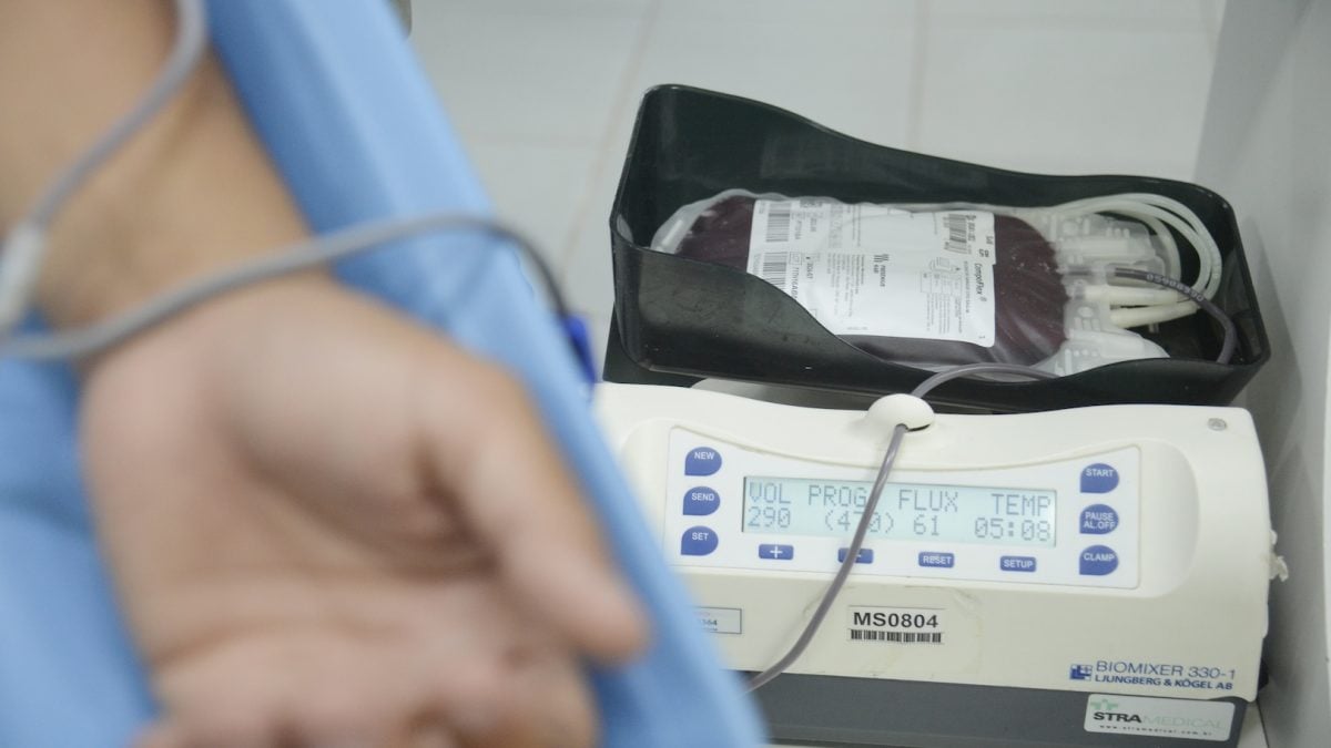 Novos critérios para doação de sangue ampliam elegibilidade no Brasil