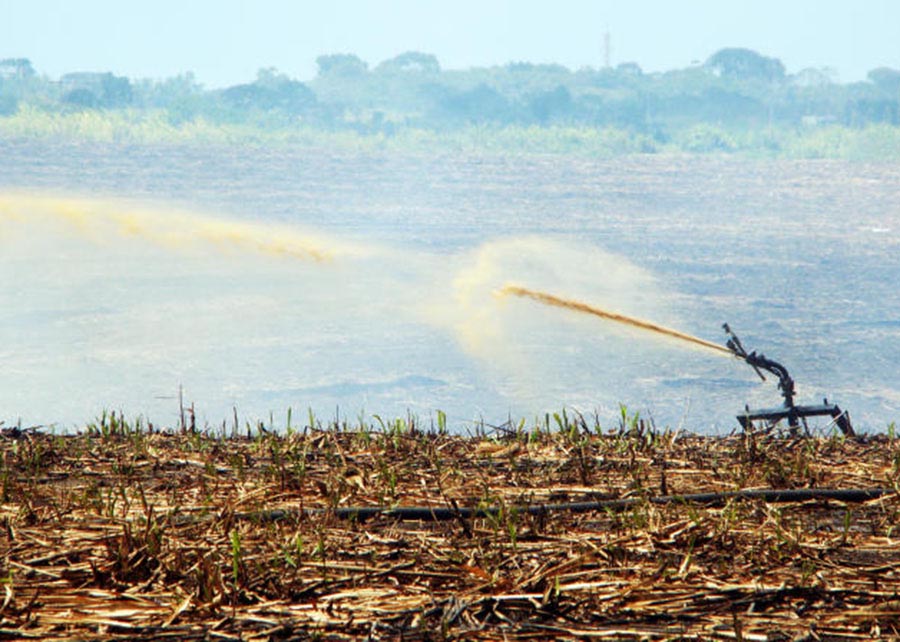 Estudo da Embrapa mapeia regiões do Brasil mais suscetíveis à poluição da agropecuária
