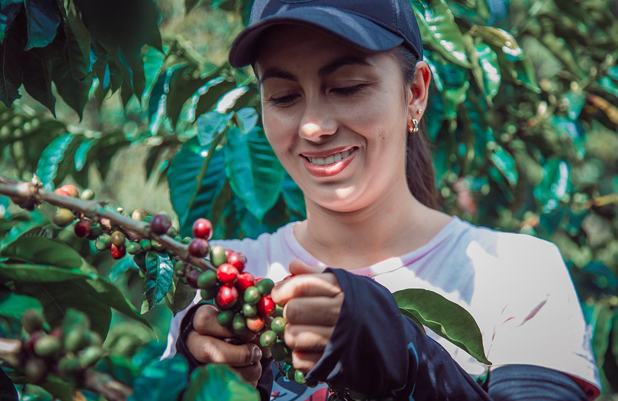 Prêmio de Cafés Especiais no Es estende prazo de inscrição e celebra participação feminina com categoria exclusiva