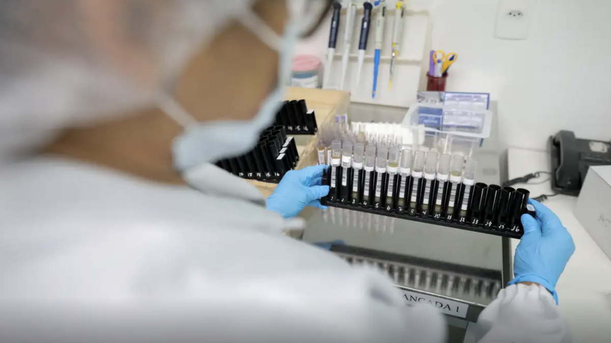 Anvisa autoriza testes em humanos de vacina brasileira pioneira contra malária