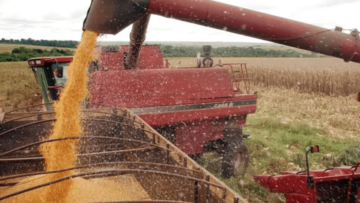 Estudo mapeia áreas rurais mais vulneráveis à poluição difusa do agronegócio