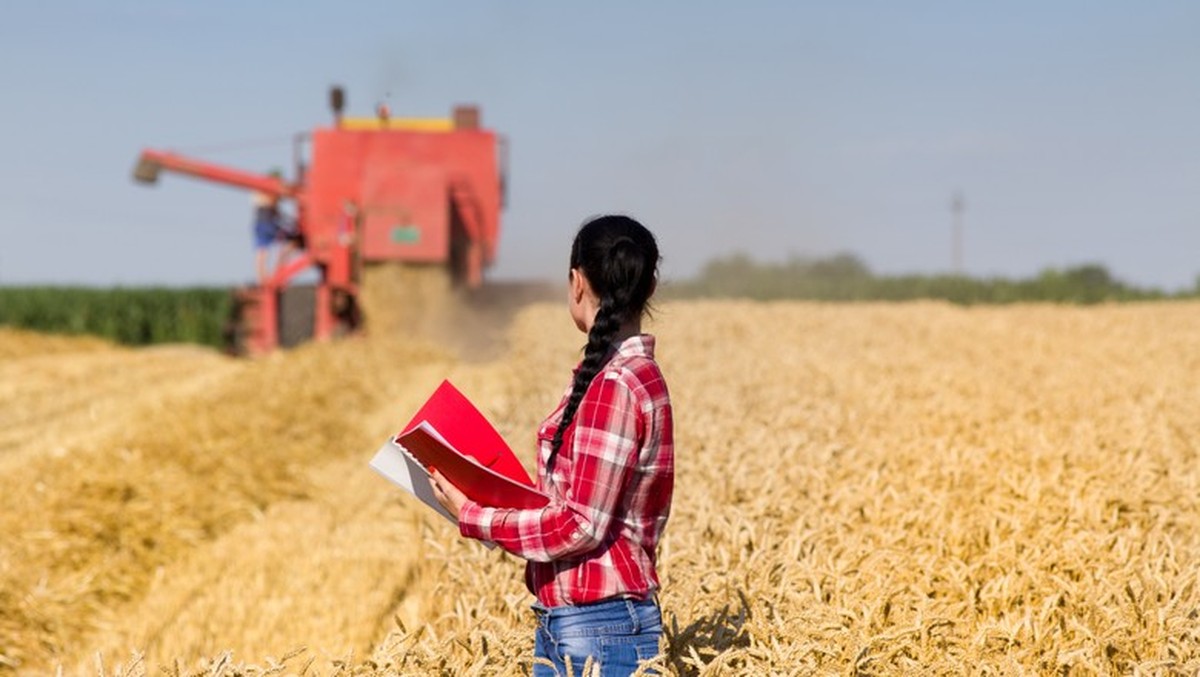Mulheres consolidam espaço em cargos de decisão no agronegócio brasileiro