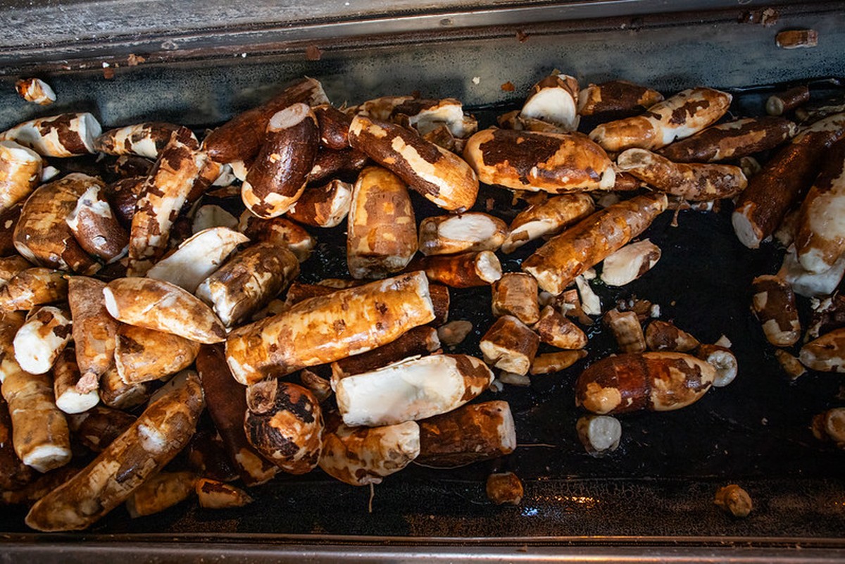 Chuvas afetam colheita de mandioca e pressionam preços no mercado